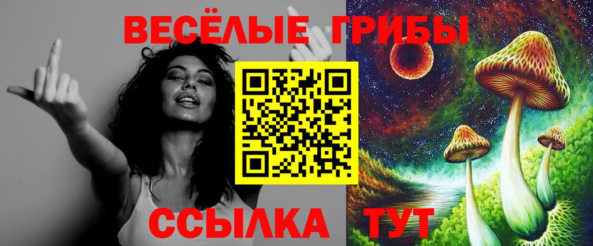 Галлюциногенные грибы Magic Shrooms Курган