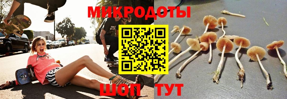 Курган  Псилоцибиновые грибы GOLDEN TEACHER  Вход с VPN 